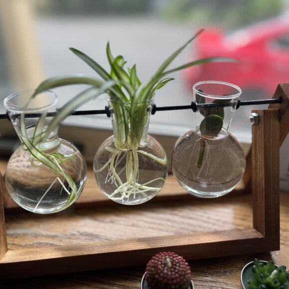 Plant Vase 3 Bulb with Wooden Stand Home Garden Office Decoration Decor - Picture 2 of 12